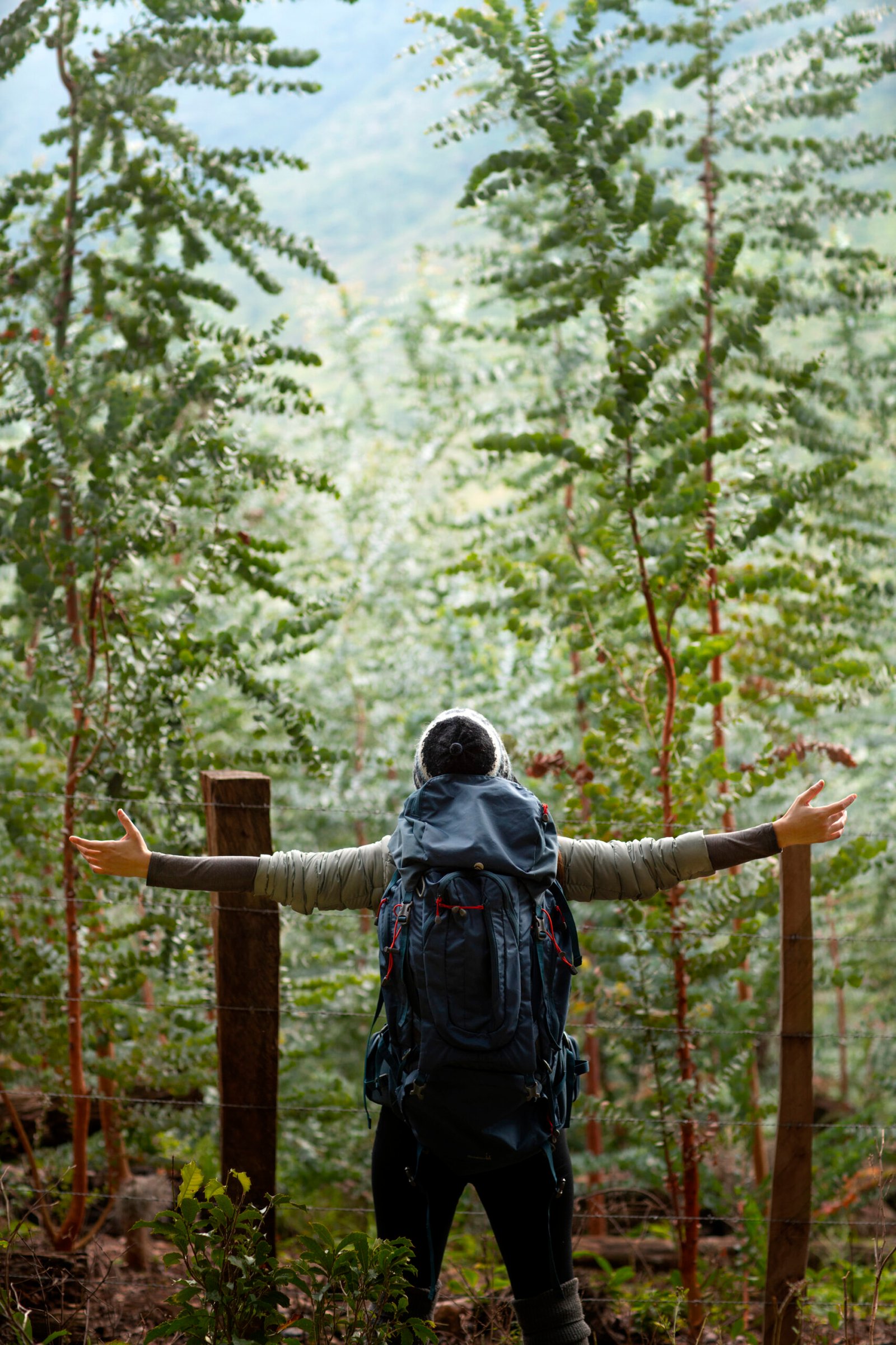 back-view-adventurous-man-bivouacking