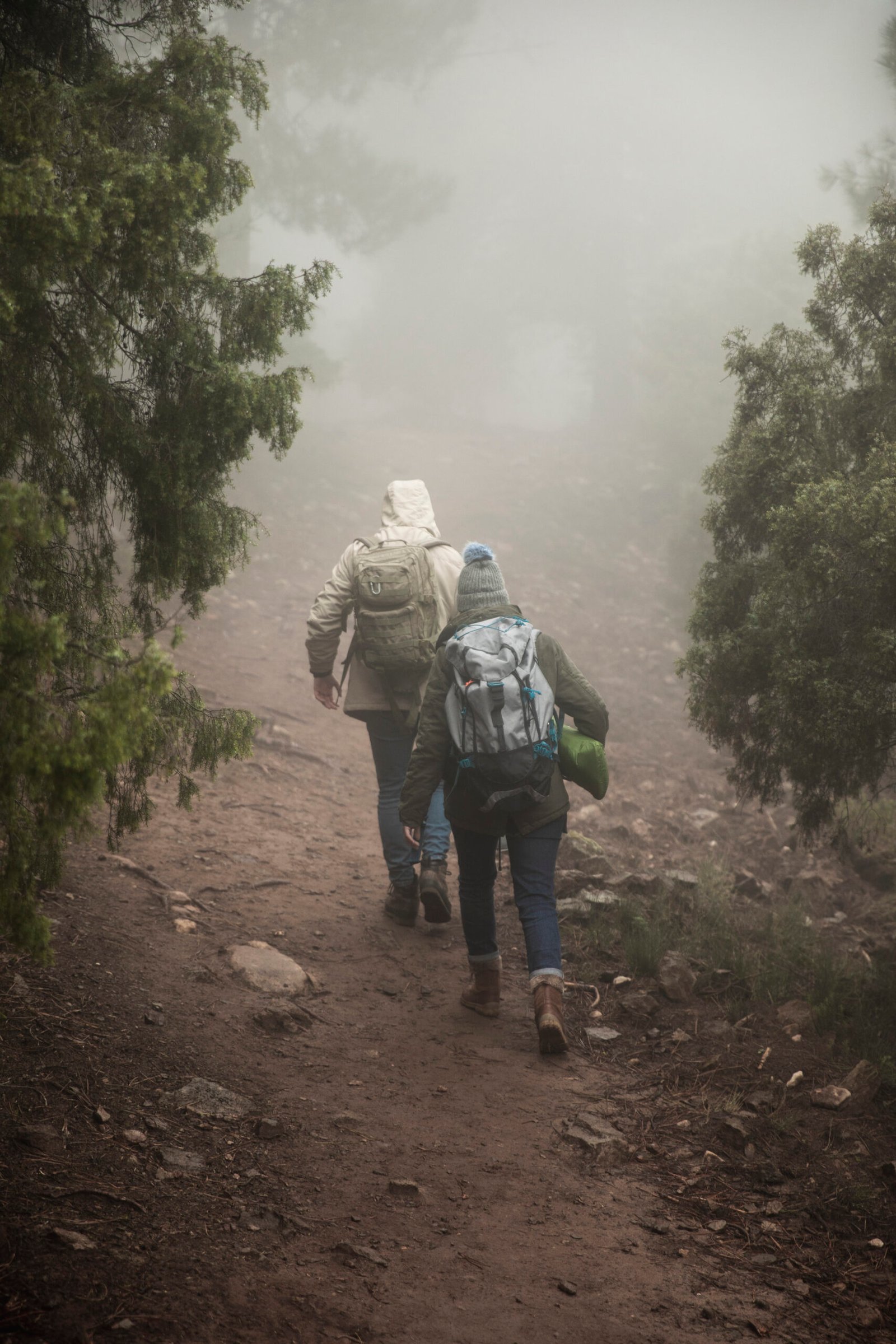 back-view-campers-with-backpacks