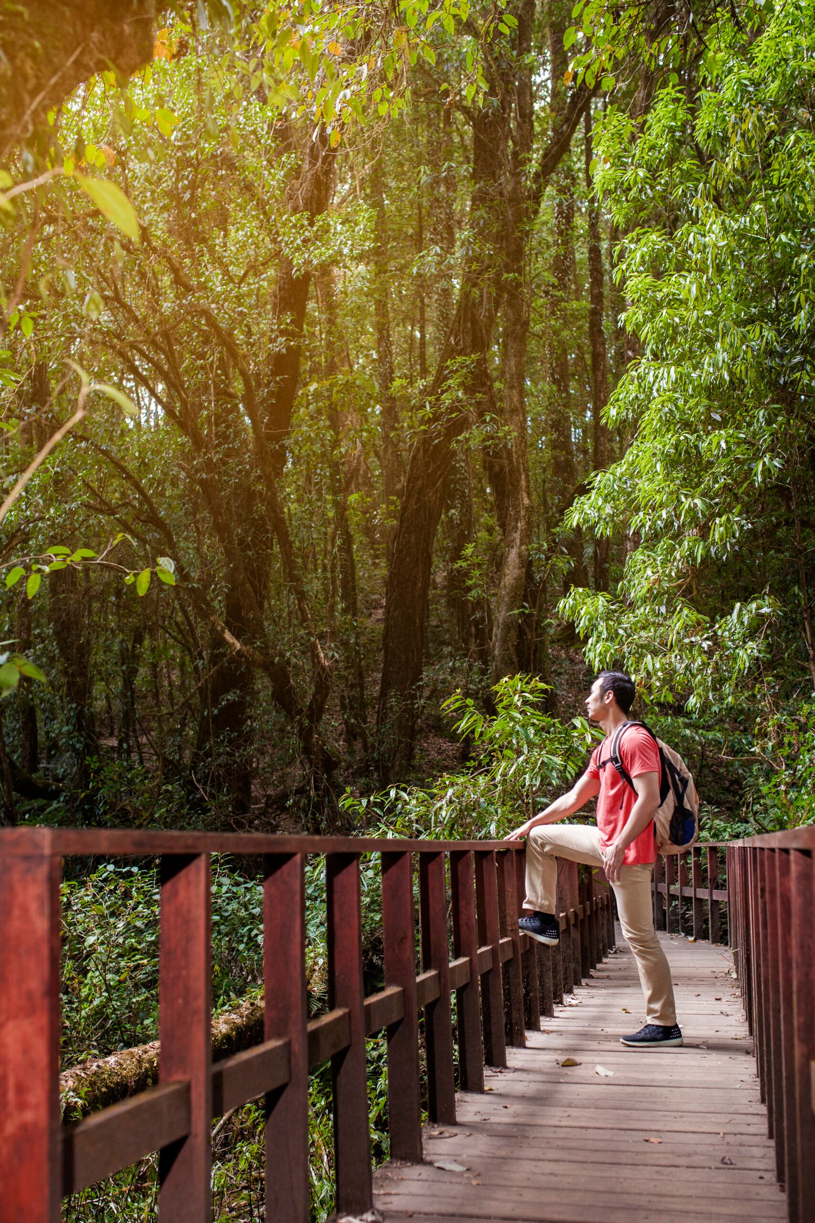 hiker-looking-old-bridge